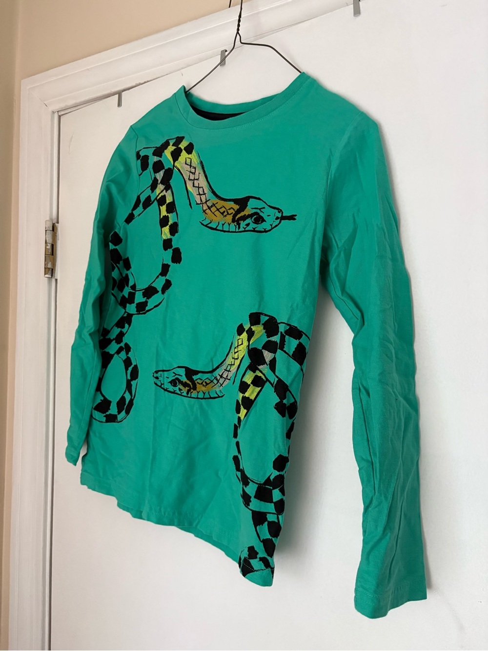 Tea Kids Sz. 12 Long-Sleeve Snake Graphic Tee - Teal
